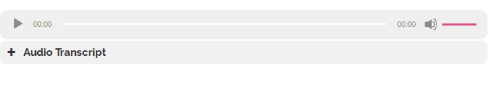 Customized Audio and Captions